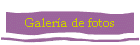 Galer�a de fotos
